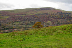Victoria Incline from the East, Ebbw Vale, November 2013